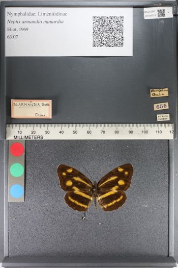 Media type: image;   Entomology 134710
